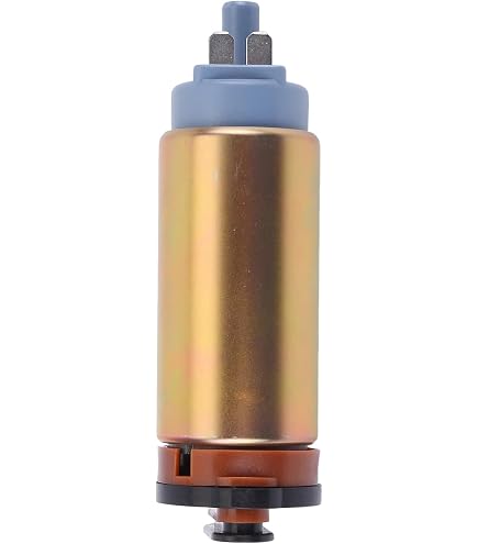 Amazon.com: Lesurey Fuel Pump W/Strainer 16735-ZY3-004 16735-ZW5